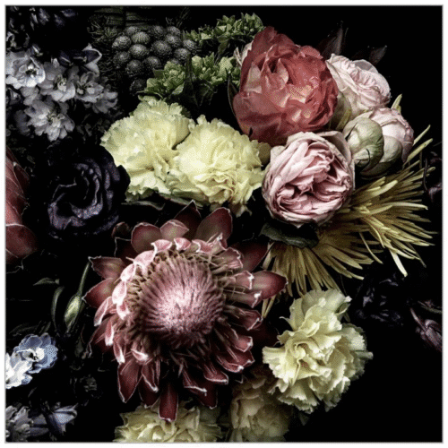 Lillian August " Still Life With Protea " by Lillian August