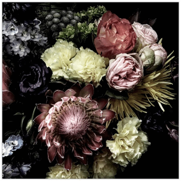 Lillian August " Still Life With Protea " by Lillian August