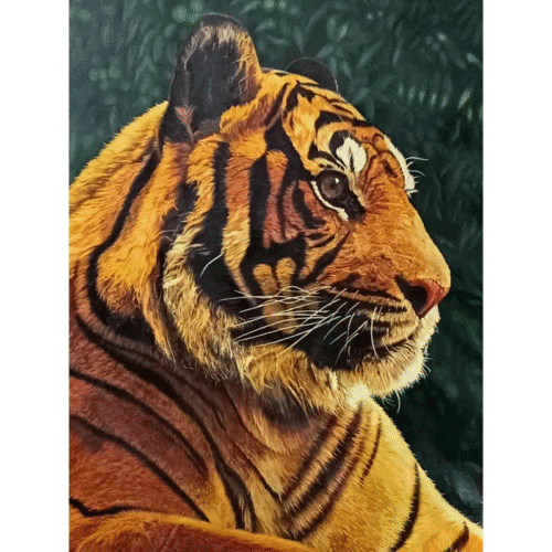 Royal Bengal Tiger | Oil Painting on Canvas by Arun Kumar
